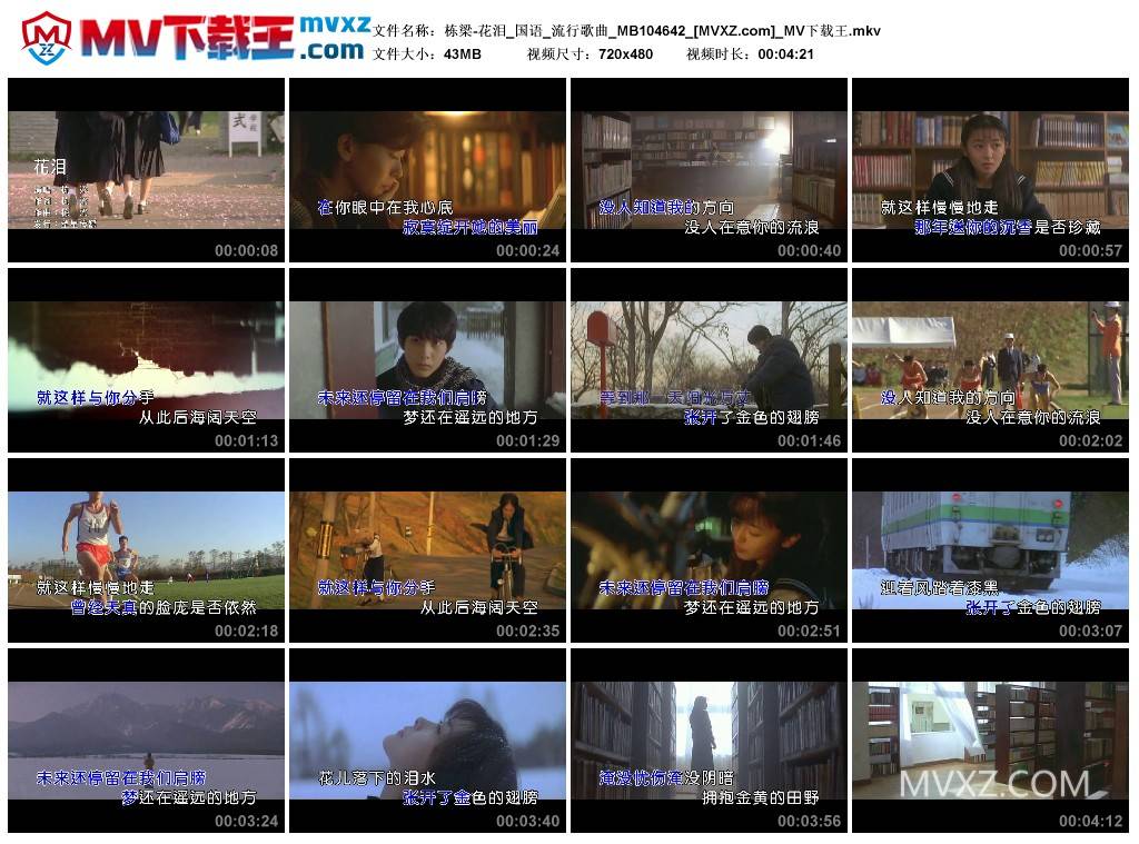 栋梁-花泪_国语_流行歌曲_MB104642